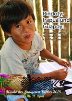 Pindoty, Irapuá und Guapoy: drei Guarani Mbyá Gemeinden im Kampf um Land